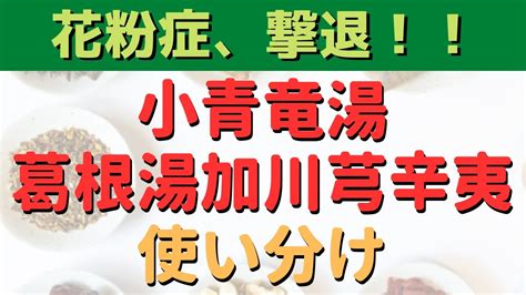 葛根湯加小青龍湯|「葛根湯」と「小青竜湯」は、併用してもいいですか ｜ お問い 